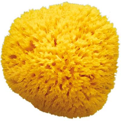 OKBABY - Arcipelago - Eponge Naturelle de la Mediterran&eacute;e pour le Bain du Nouveau-n&eacute; - Taille 10