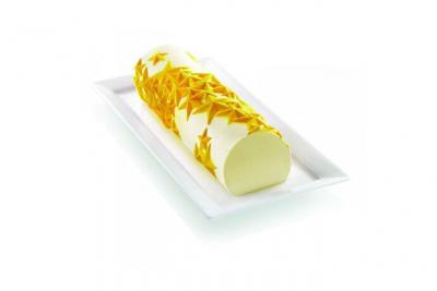 Kit Moule pour b&ucirc;che glac&eacute;e Starlight Silikomart