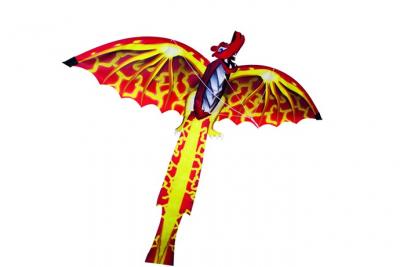 Gunther - 1136 - Jeu De Plein Air - Cerf-Volant 3d - Dragon