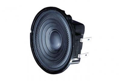 Haut-parleur &agrave; large bande Visaton K 50 WP/8 ohms
