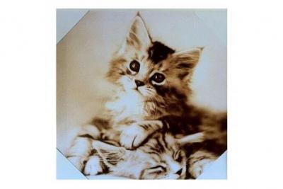 STC - Cadre en toile chaton - En Toile et bois - 28 x 28 cm