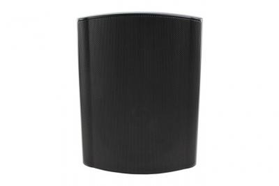 Visaton WB 16 100 V / 8 OHM - Haut-parleur - 60 Watt - 2 voies - noir
