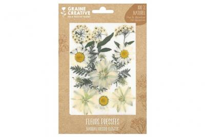 Fleurs press&eacute;es - Prairie - Blanc - 15 pcs - Graine Cr&eacute;ative - couleur variant
