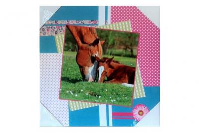 L'univers Du Cheval - Cadre en toile cheval