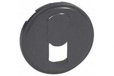Enjoliveur graphite - Prise t&eacute;l&eacute;phonique simple RJ 45 - C&eacute;liane - Legrand