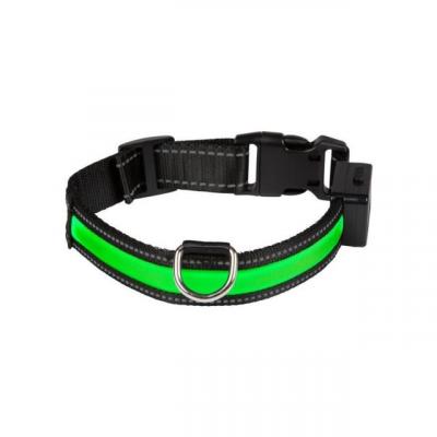EYENIMAL Collier lumineux Light Collar USB rechargeable L - Vert - Pour chien