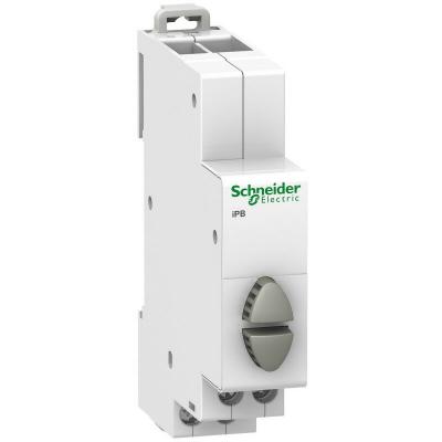 Bouton-poussoir double - 1 NO gris + 1 NO gris - 20 A - 230 VCA - Acti9 - iPB