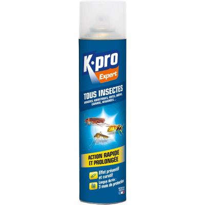 Insecticide a&eacute;rosol multi-usages - tous insectes - 300 mL