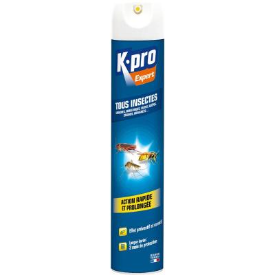 Insecticide a&eacute;rosol multi-usages - tous insectes - 500 mL