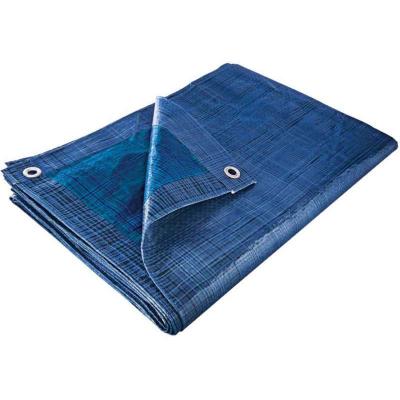 B&acirc;che de protection 2x3 &eacute;co bleu royal - SODEPM