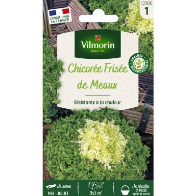 Vilmorin - Sachet graines Chicor&eacute;e fris&eacute;e de Meaux