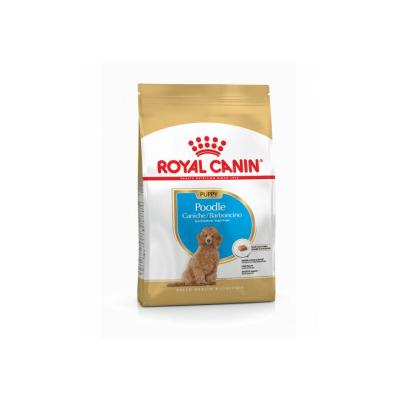 Croquettes chien BREED HEALTH NUTRITION CANICHE JUNIOR 3KG