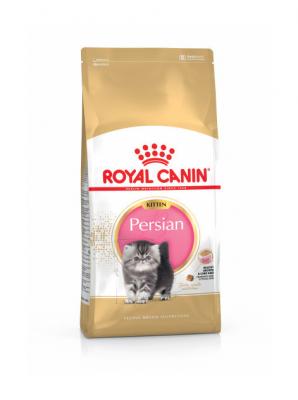 4kg Kitten Persian Royal Canin Croquettes pour chaton