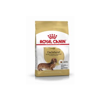1,5kg Teckel Adult Royal Canin - Croquettes pour chien