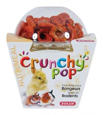 Friandise crunchy pop carotte 43g 