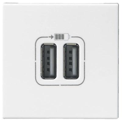Double chargeur usb Type-A 3A 15W 2 modules complet Mosaic - Blanc