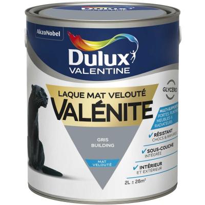 Laque Valenite - Multi-supports - Mat Veloute - Gris building - 2L