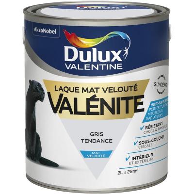 Laque Valenite - Multi-supports - Mat Veloute - Gris tendance - 2L