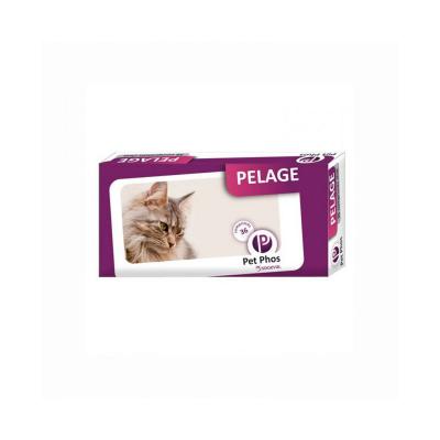 Pet-phos felin special compl&eacute;ments alimentaires pour pelage de chats