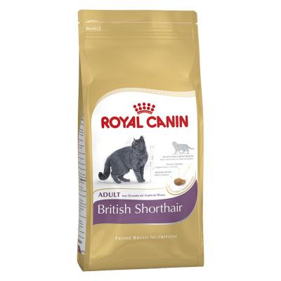 Croquettes chat BRITISH SHORTHAIR ADULT CHAT A PARTIR DE 12 MOIS 400G