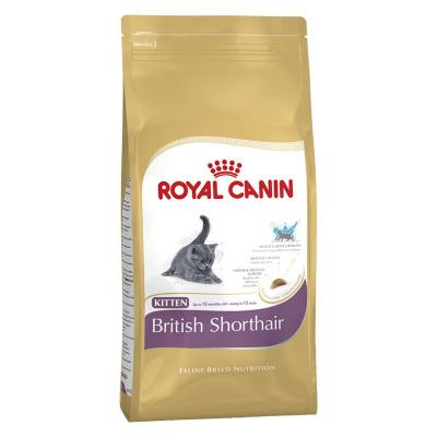 Royal Canin British Shorthair Adult 400 G Cat Food Dor&eacute; <500 g