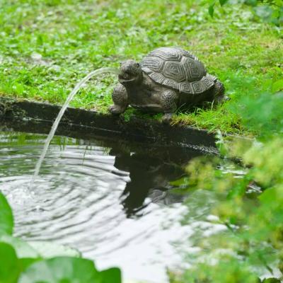 Mercatoxl - Ubbink Fontaine de jardin &agrave; cracheur Tortue