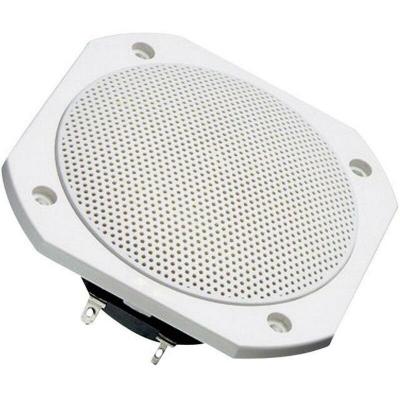 Visaton FRS 10 WP 4 OHM - Haut-parleur - 25 Watt - blanc