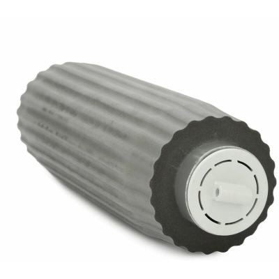 Brosse mousse + rouleau pour robot Tiger Shark - Hayward