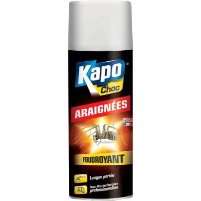 Insecticide a&eacute;rososol anti-araign&eacute;es - Choc - longue port&eacute;e - 400 mL