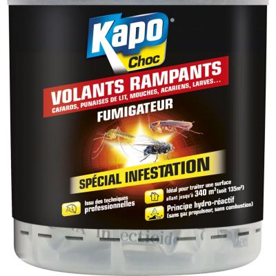 Insecticide Fumigateur sp&eacute;cial infestation tous insectes KAPO, 0.34 l
