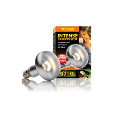 Lampe chauffante Intense Basking Spot Exo Terra 150 W