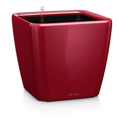 Lechuza quadro premium 21ls pot de fleurs, scarled red high-gloss, 43