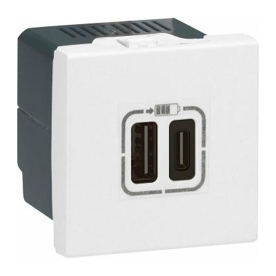 Prise 2xUSB type-C Mosaic - 3A - 15W - 2 modules - Blanc