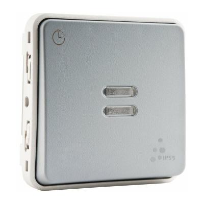 Legrand Interrupteur plexo temporis&eacute; lumineux 230v legrand 069504