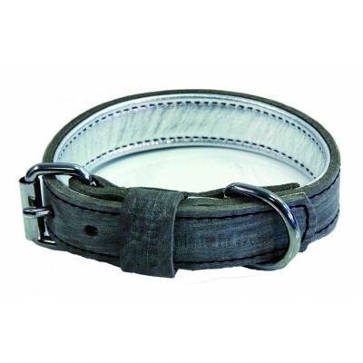 Collier Pour Chien En Cuir Martin Sellier Dakota 25/45 Cm Mixte Dor&eacute;