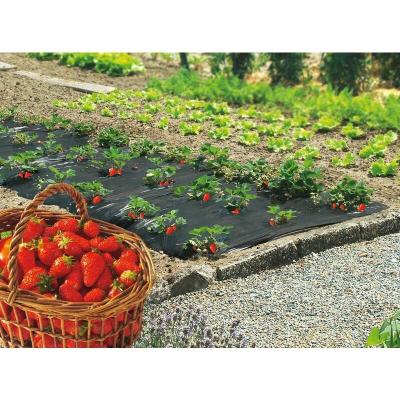 Nortene 100050 Jardin & Accessoires Divers, Voir Photo
