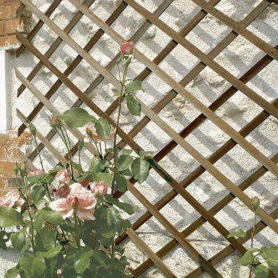 Nortene Treillis en bois FSC extensible TRELLIWOOD - 1 x 2 m - Marron