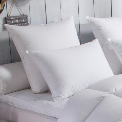 Dodo - Oreiller 70% Duvet d'Oie medium - 40/60 Blanc