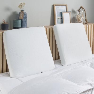 Oreiller Thermogel - 40/60 Dunlopillo Blanc