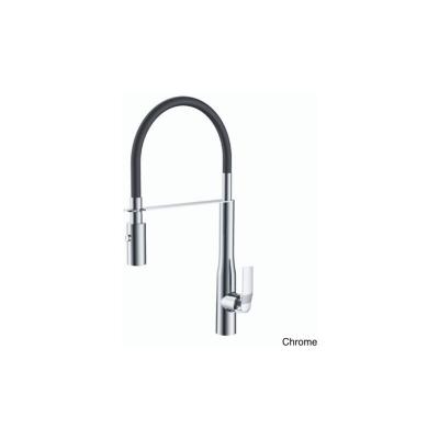 PAINI Mitigeur cuisine Addict Bec haut douchette extractible, chrome
