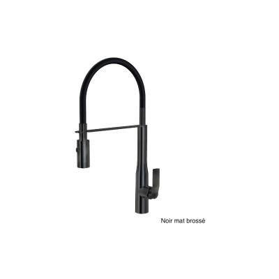 Paini France Robinetterie - Mitigeur cuisine addict pvd noir mat