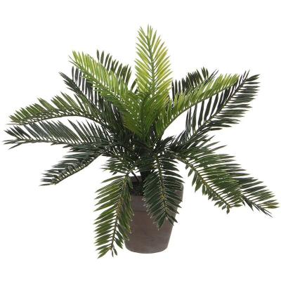 Plante d&eacute;corative mica decorations c&eacute;ramique palmier (11,5 x 33 cm)