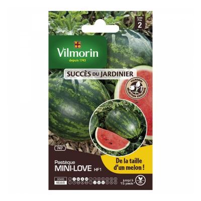Vilmorin - sachet graines Past&egrave;que mini love HF1 Vilmorin