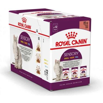 Royal Canin Sensory multipack p&acirc;t&eacute;e pour chat 2 bo&icirc;tes (24 x 85 g)