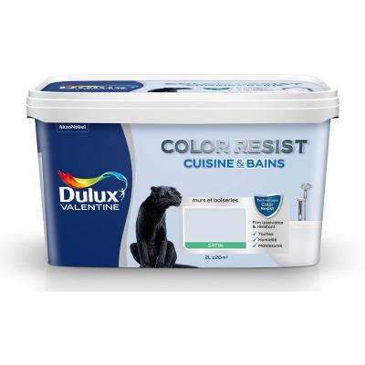 Peinture Color Resist Cuisine et Bains - Embruns - Satin - 2L