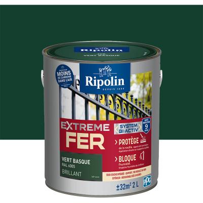 Extr&ecirc;me fer base vert basque RAL 6005 brillant - RIPOLIN - 2 L