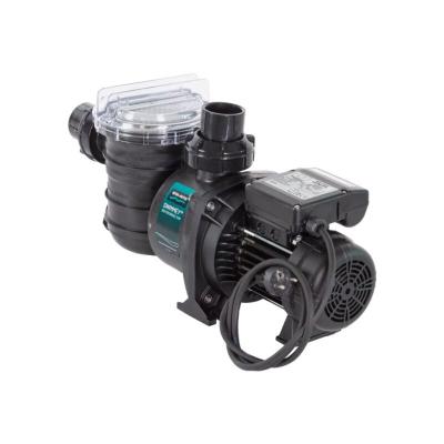 Pentair Pompe de Filtration Swimmey 1 CV Monophas&eacute;e - 13m3/h