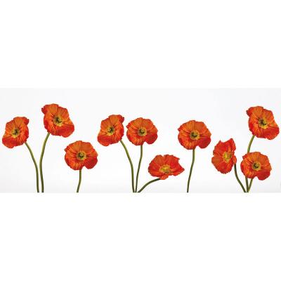 D&eacute;coration adh&eacute;sive Pavots, Polyvinyle, Orange, 21 x 0.1 x 29.6 cm