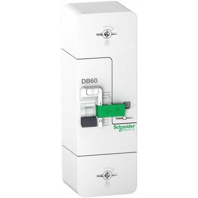 Disjoncteur de branchement bipolaire, 15/30/45 A, SCHNEIDER ELECTRIC