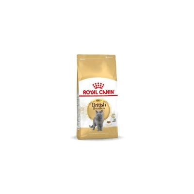 4kg British Shorthair Royal Canin Croquettes pour chat